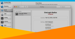 Read more about the article RADIUS and LDAP Server Interfaces