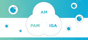 Read more about the article Strengthening Cyber Defenses: The Crucial Role of PAM and IGA Solutions