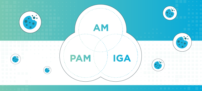 Read more about the article Strengthening Cyber Defenses: The Crucial Role of PAM and IGA Solutions
