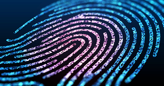 Authentication vs. Authorization